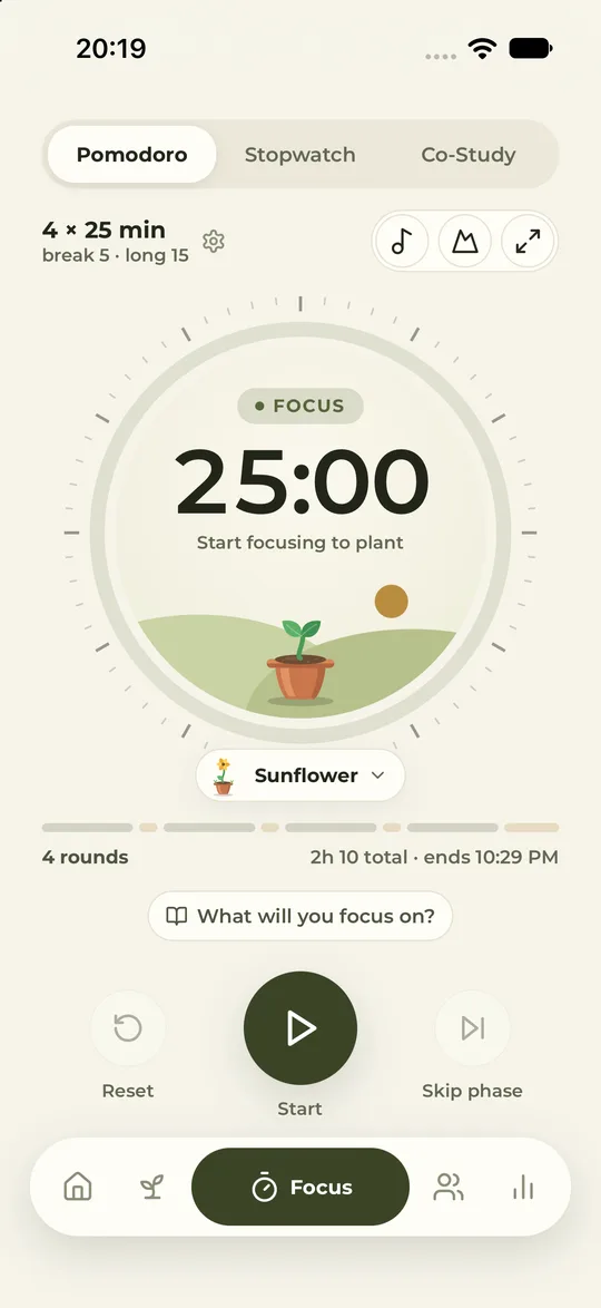 Focus screen with the plant growing on the clock